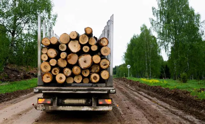 Transport de tronçons de 2m et 4m, Cambrai, FR BOIS